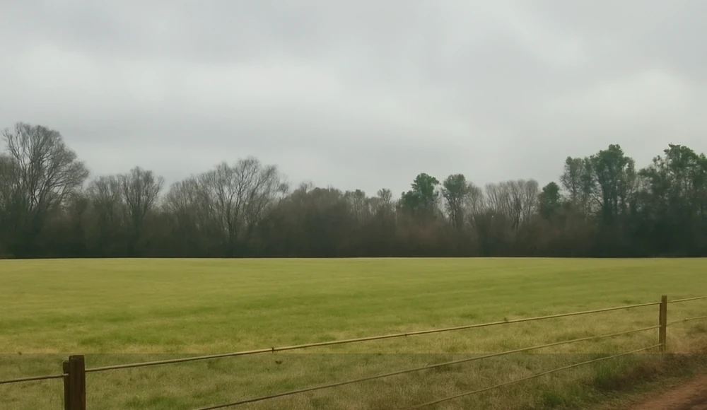 Alabama Land Buyers: How to Sell Land Fast for Cash closing checklist