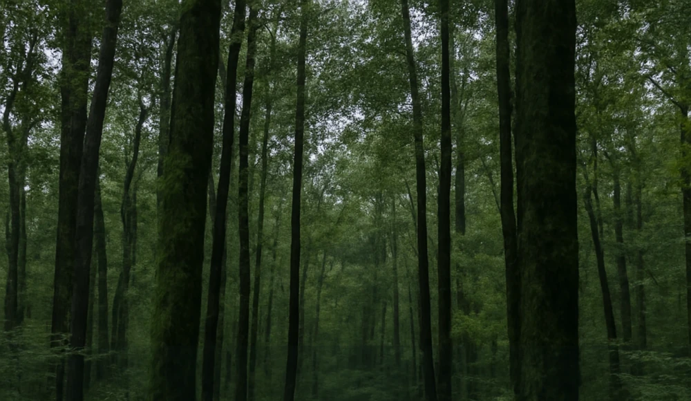 How to Sell Inherited Land in Alabama land guide
