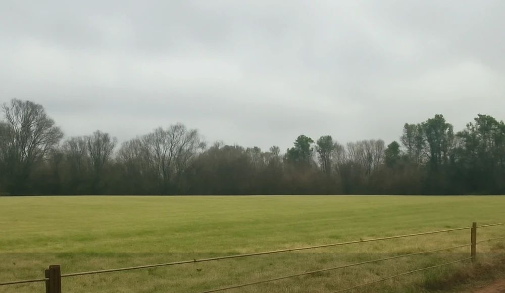 How to Sell Inherited Land in Alabama land sale review