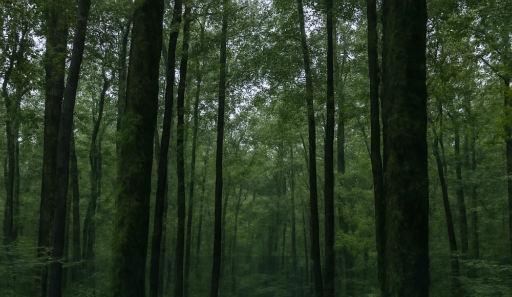 How to Sell Land Without Clear Title in Alabama closing checklist