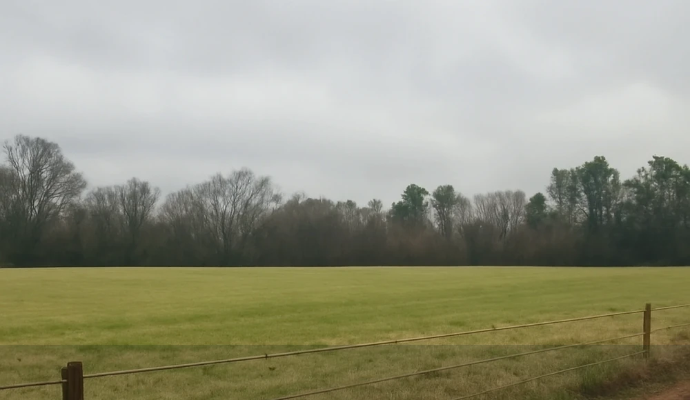 Legal Documents for Selling Land in Alabama land sale review