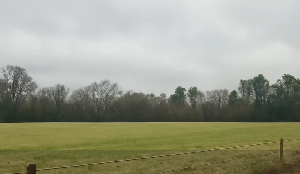 Tax on Selling Land in Alabama land guide