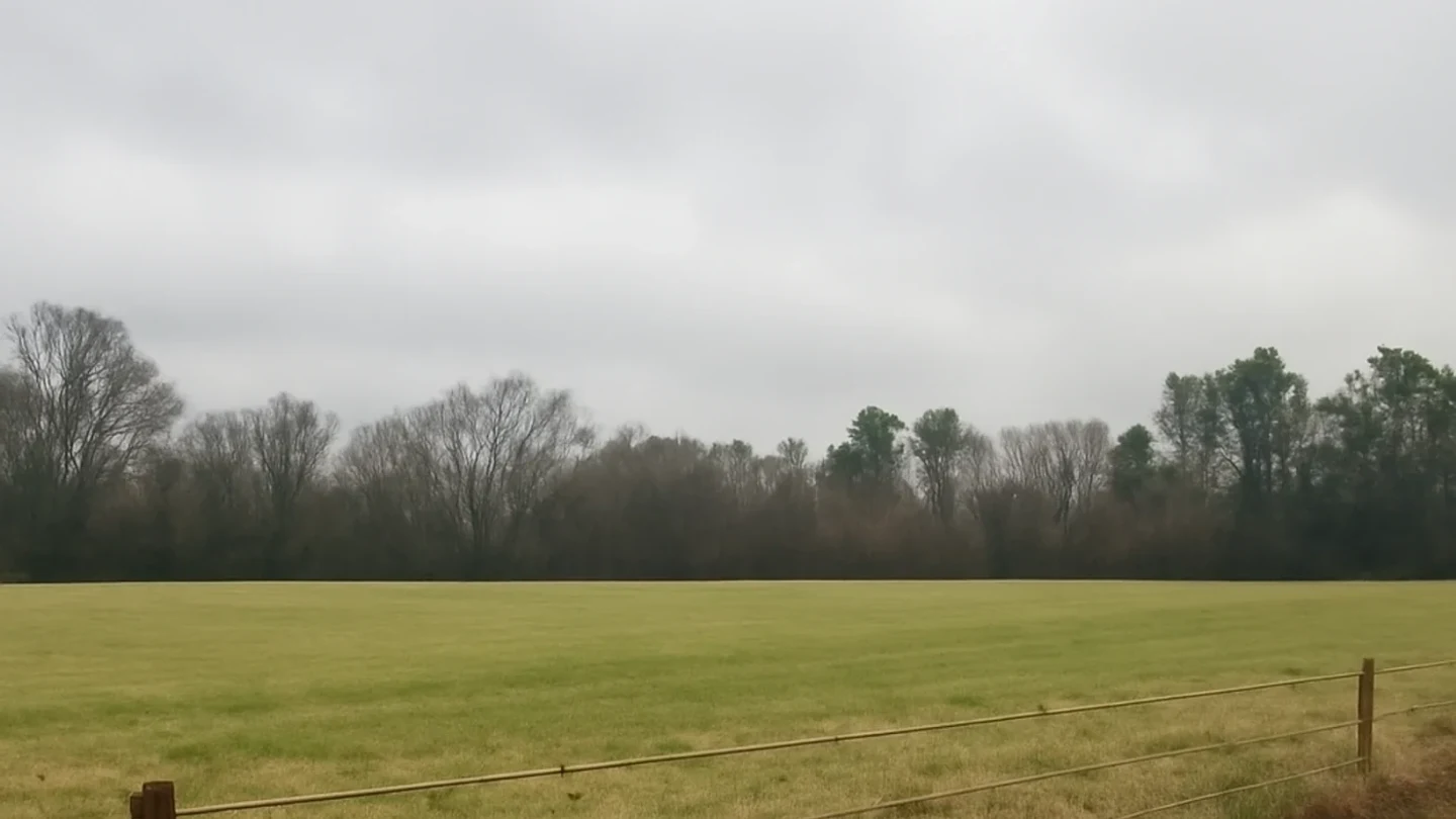 Mobile County vacant land, wooded acreage, and rural parcels in Alabama